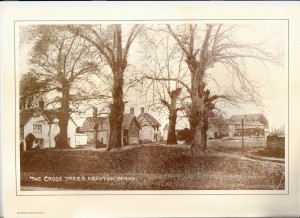 The cross trees Drayton    